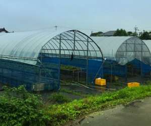 67192294_693717144400606_6246732904978710528_n