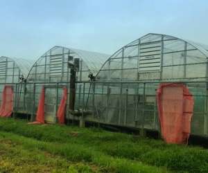 67332354_391911771438107_8404108927813287936_n