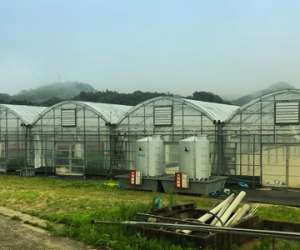 67412808_706767599775824_3469343035450458112_n