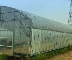 67473178_948890298776097_2358130065629249536_n